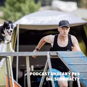 Pavel Košek - Agility závodník a pořadatel závodů