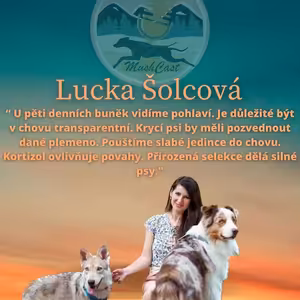 Lucie Šolcová: "U pětidenních buněk vidíme pohlaví. Je důležité být v chovu transparentní. Krycí psi by měli pozvednout dané plemeno. Pouštíme slabé jedince do chovu. Kortizol ovlivňuje povahy. Přirozená selekce dělá silné psy."