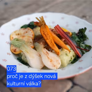 073 proč je z dýšek nová kulturní válka?