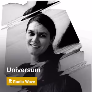 Universum: Celou vaši kariéru může ovlivnit jeden učitel