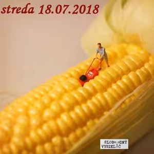 Verejné tajomstvá 216 - 2018-07-18 Zdravá strava 29/2018