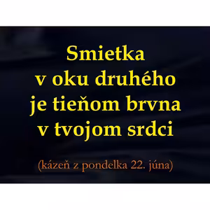 Smietka v oku druhého je tieňom brvna v tvojom srdci