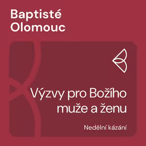 Výzvy pro Božího muže a ženu (14.6.2020)