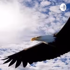 Dokážu rozlíšiť medzi životnými nutnosťami a prepychom.