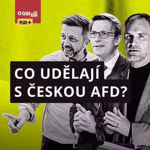 Kupka, Rakušan a Hřib v pasti: Může demokratická opozice zabránit nástupu „české AfD“?