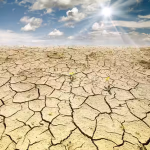 #samispolu – Ochutnávka z básní Radka Štěpánka