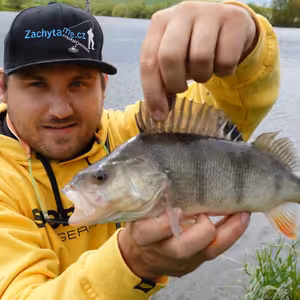 Historie přívlače 1. díl