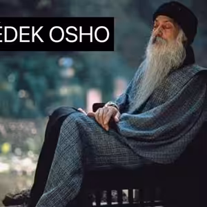 OSHO sekta 2: Jak o tom píšou odborníci