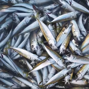 Naslouchejme Kristu, co máme dnes konat