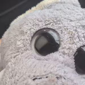 Prosím pomoc 😢😑🙂‍↔️