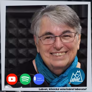 Jak nejlépe připravit psa na zimu