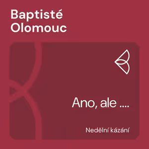 Ano, ale .... (24.11.2024)