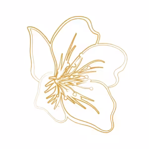 Podcast o vykuřovadlech s Rhodou