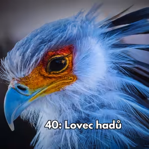 40: Lovec hadů