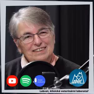 Vyhláška o ochraně psů a koček