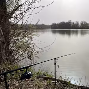 Ze studia i z terénu 7. díl