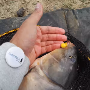 Pomůcky a nástroje k vyprošťování háčků z rybích úst