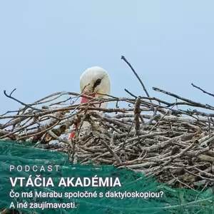 Čo má Marabu spoločné s daktyloskopiou? A iné zaujímavosti.