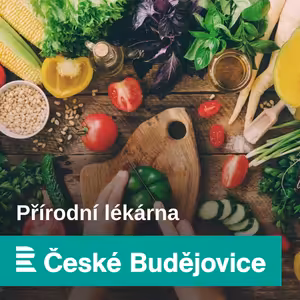 Objevil se ve vašem obchodě mangold nebo pak choi? Sáhněte po něm