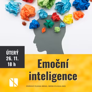 Emoční inteligence