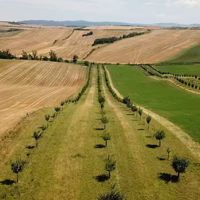 Agrolesnictví - šance pro udržitelnou krajinu