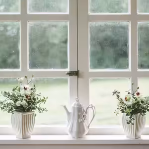 Trápí vás plíseň v bytě? Víme, jak se jí zbavit co nejrychleji