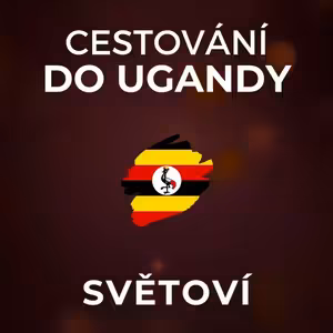 UGANDA: Hodina s gorilami stojí 800 dolarů a uběhne jako pár minut. Podobají se lidem. | SVĚTOVÍ