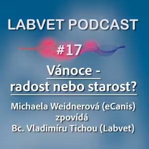 Vánoce – radost nebo starost?