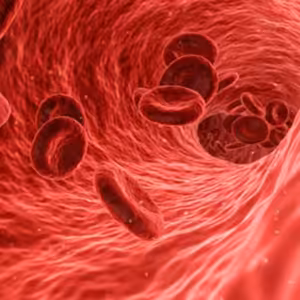 Kyslík #3 : Skrytá hrozba v tvojom tele | Ako kyslík a železo ovplyvňujú zdravie a výkon