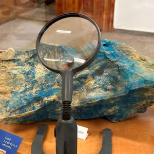 Výstavu SSM Kvety podzemia a kvety púšte môžete navštíviť do 8. septembra