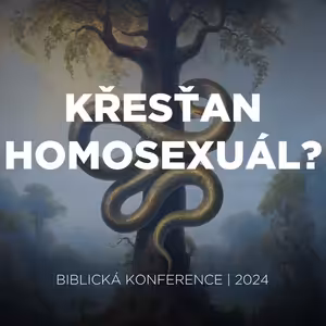 #Q&A 03 Křesťan homosexuál? | Biblická konference 2024