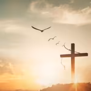 Mladá dáma osvobozena od hypertenze, hemoroidů a bolestí hlavy.