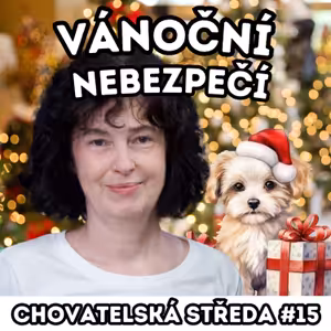 🎄Vánoční nebezpečí🎄 | Chovatelská středa #15