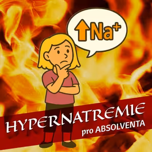 Hypernatremie pro absolventy