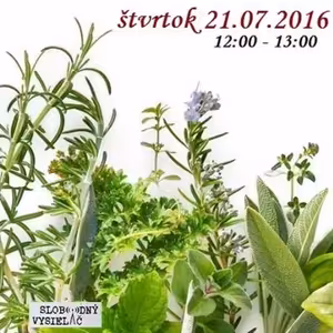 Motorové myši 80 - 2016-07-21 bylinkový receptár 3. časť