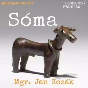 Synergeticum 167 - 2026-09-22 Sóma