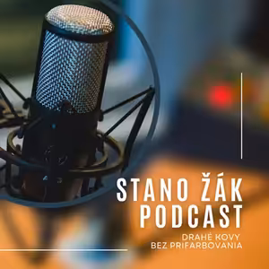 ČNB chce zdesetinásobit své zlaté rezervy