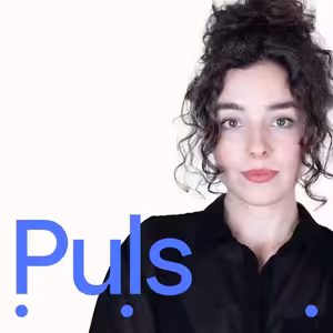 Nejdřív Súdán, teď Niger. Co se to děje v nestabilním Sahelu?