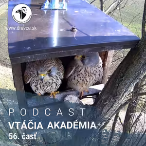 KUKAJ.SK, to je tá najkrajšia reality show na Slovensku