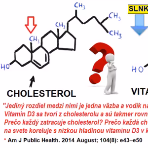 Hormóny #1 Cholesterol ako omyl modernej spoločnosti