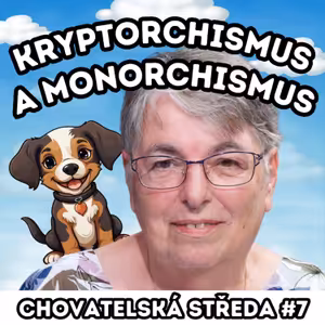 👩‍⚕️Kryptorchismus a monorchismus👩‍⚕️| Chovatelská středa #7