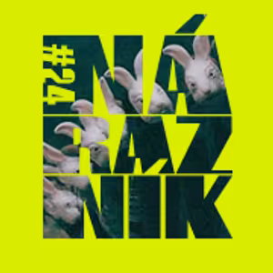 NÁRAZNÍK #24 / Fríkz