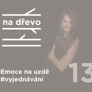 EMOCE NA UZDĚ #vyjednávání #13
