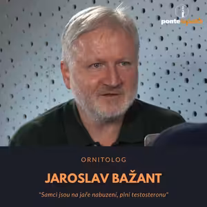 Jaroslav Bažant - ornitolog: Samci jsou na jaře nabuzení, plní testosteronu