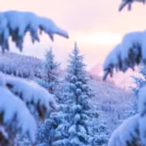 HOROSKOPY: Blíženci, láska je složitější než matematika. Vsaďte na intuici!