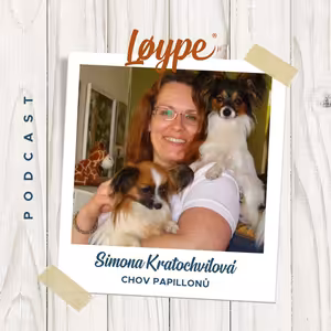 97 | Chov papillonů | Simona Kratochvílová