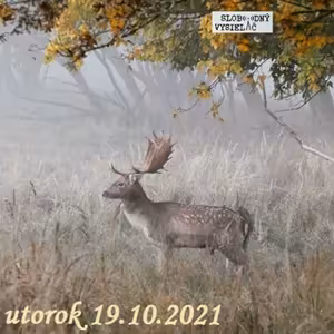 V prvej línii - 2021-10-19