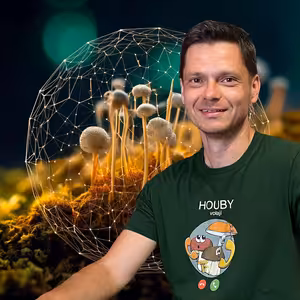 O tajemném světě mykorhizních hub