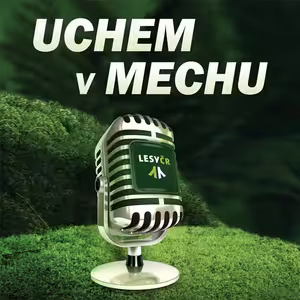 O obnově starších porostů