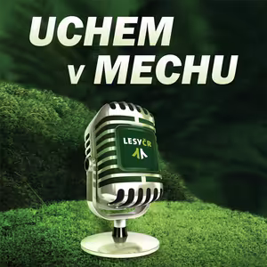 Uchem v mechu